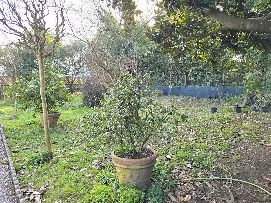 Immagine 4 di Porzione di casa in vendita  in Via della cateratta a Capannori