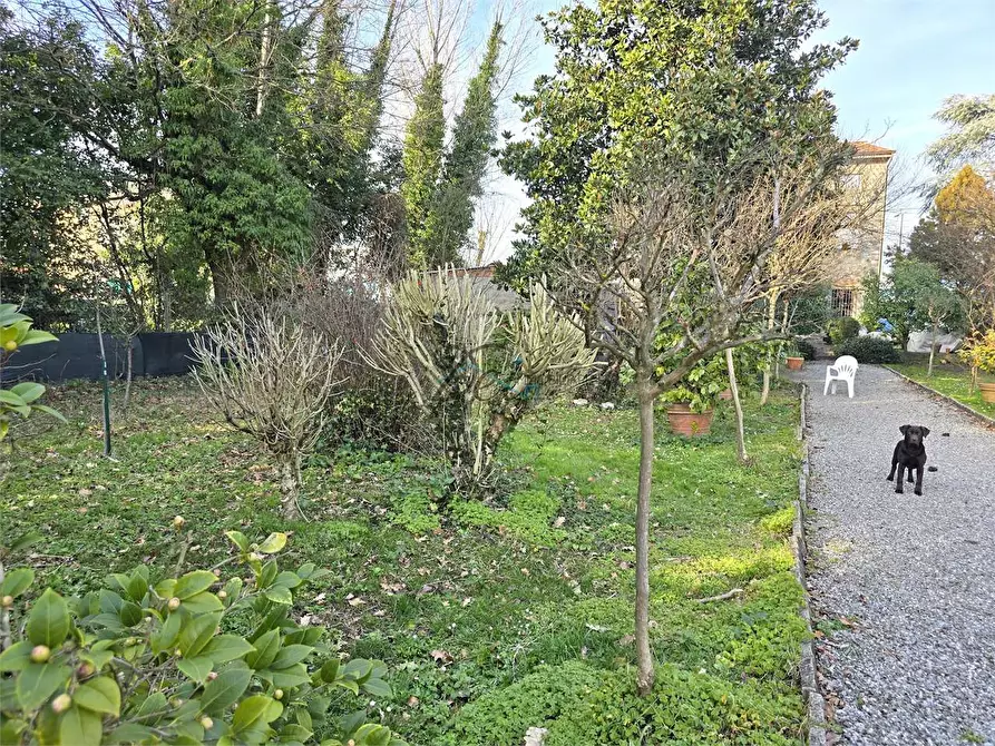 Immagine 37 di Porzione di casa in vendita  in Via della cateratta a Capannori