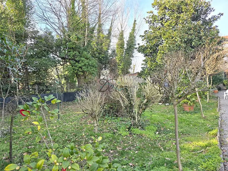 Immagine 3 di Porzione di casa in vendita  in Via della cateratta a Capannori