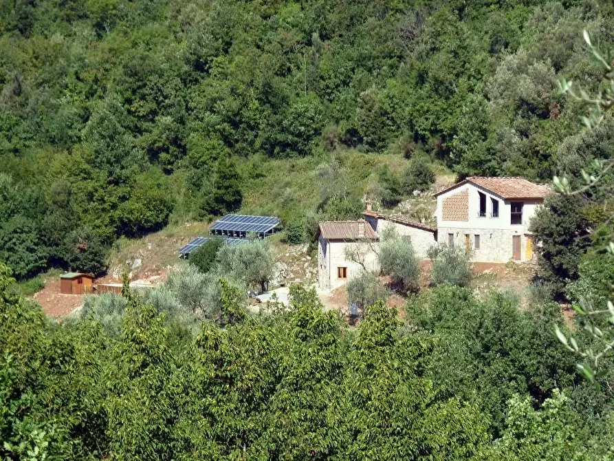 Immagine 3 di Rustico / casale in vendita  a Borgo A Mozzano