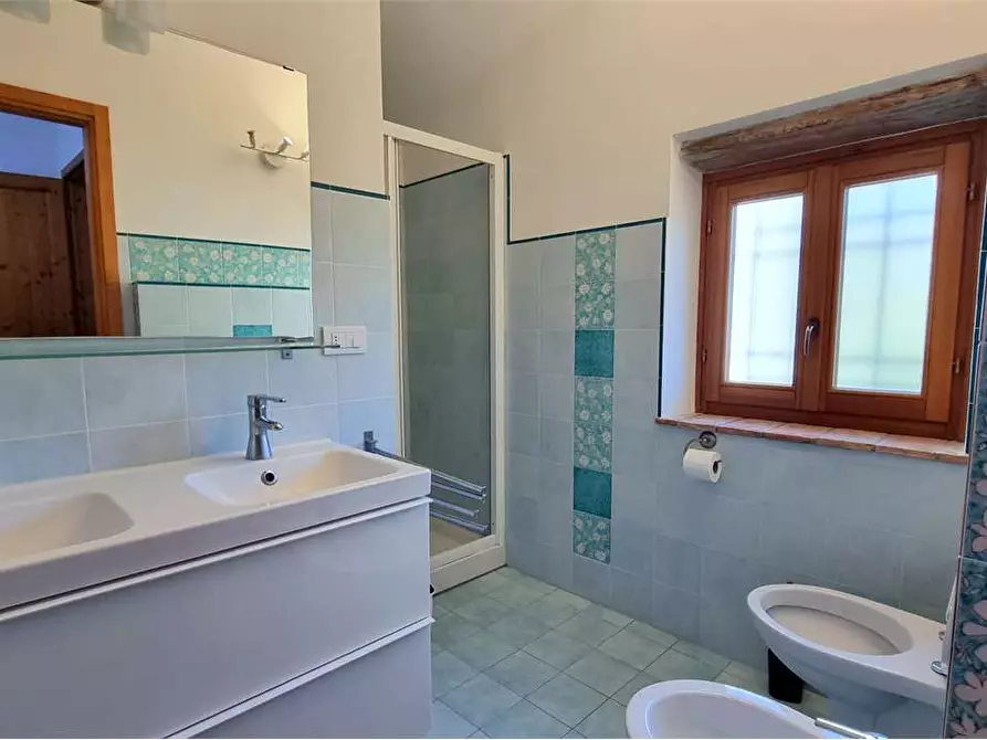 Immagine 33 di Rustico / casale in vendita  a Borgo A Mozzano