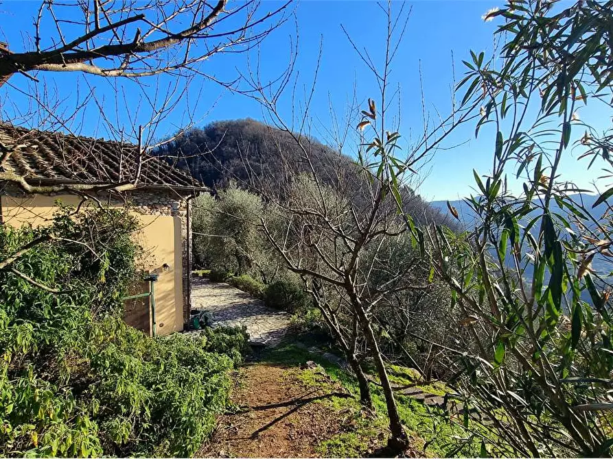 Immagine 7 di Rustico / casale in vendita  a Borgo A Mozzano