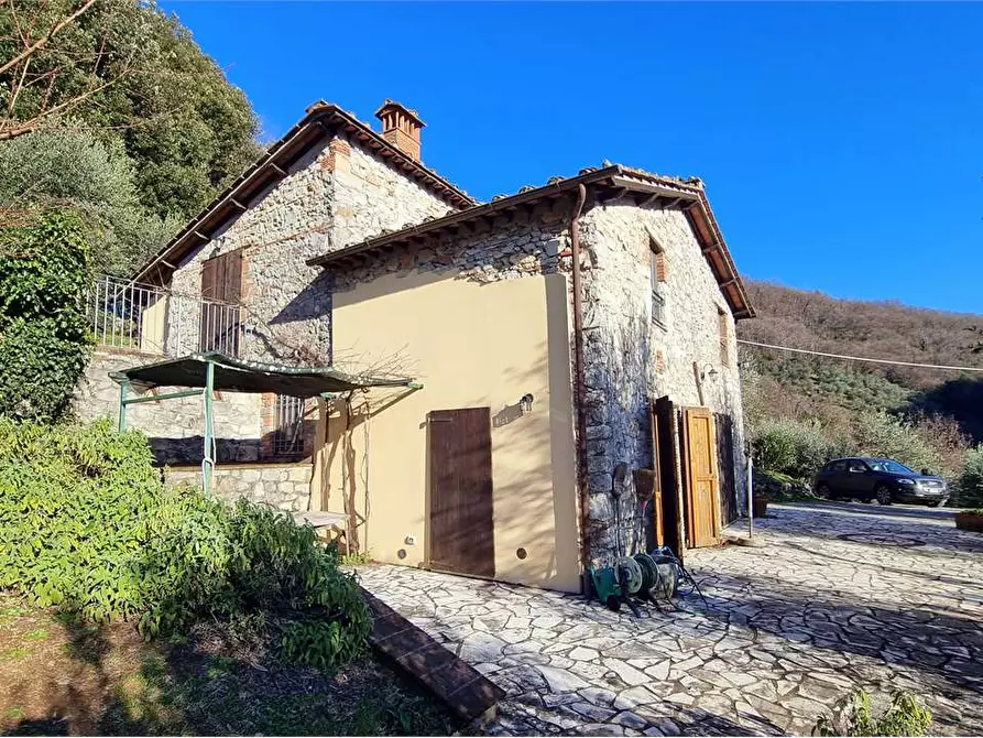 Immagine 6 di Rustico / casale in vendita  a Borgo A Mozzano