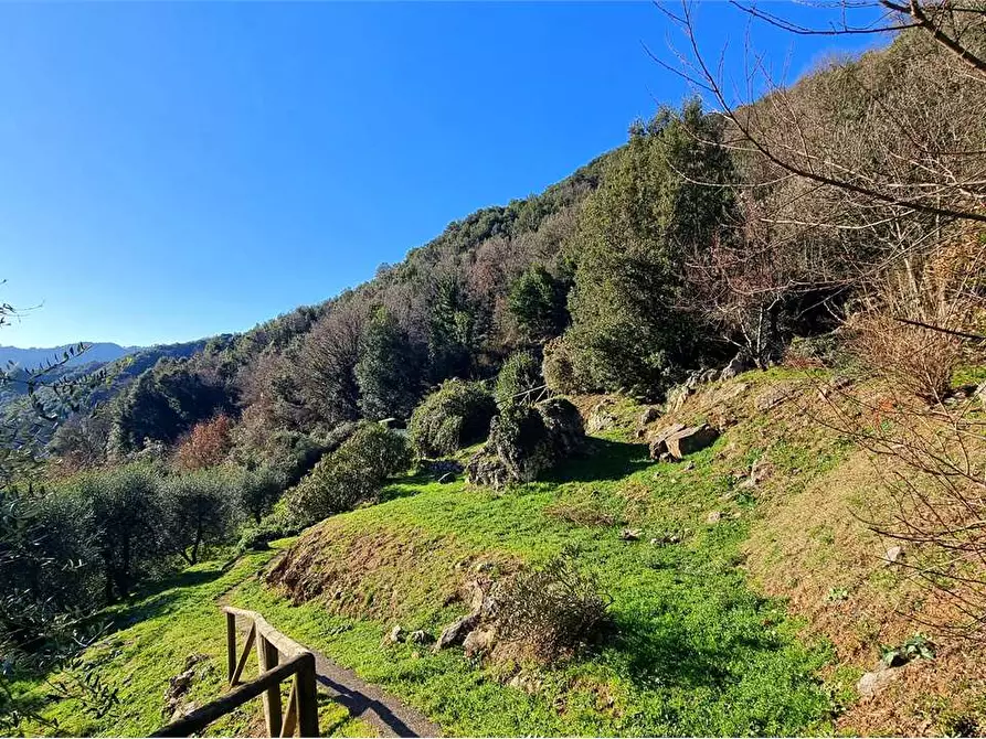 Immagine 10 di Rustico / casale in vendita  a Borgo A Mozzano