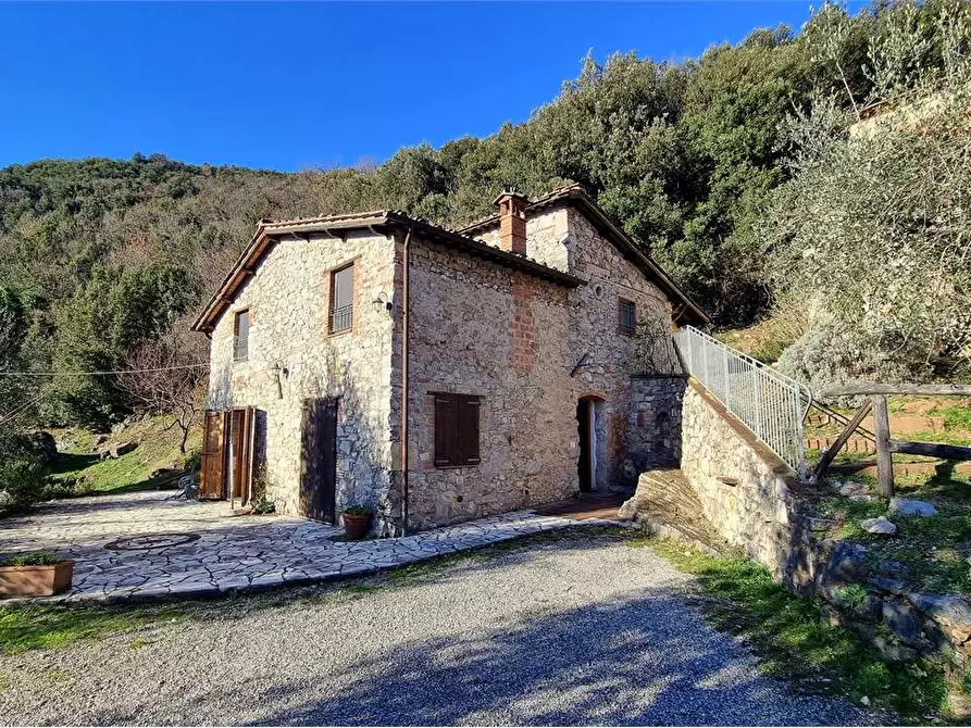 Immagine 5 di Rustico / casale in vendita  a Borgo A Mozzano