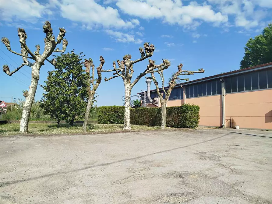 Immagine 3 di Capannone industriale in vendita  in via di piaggiori a Capannori