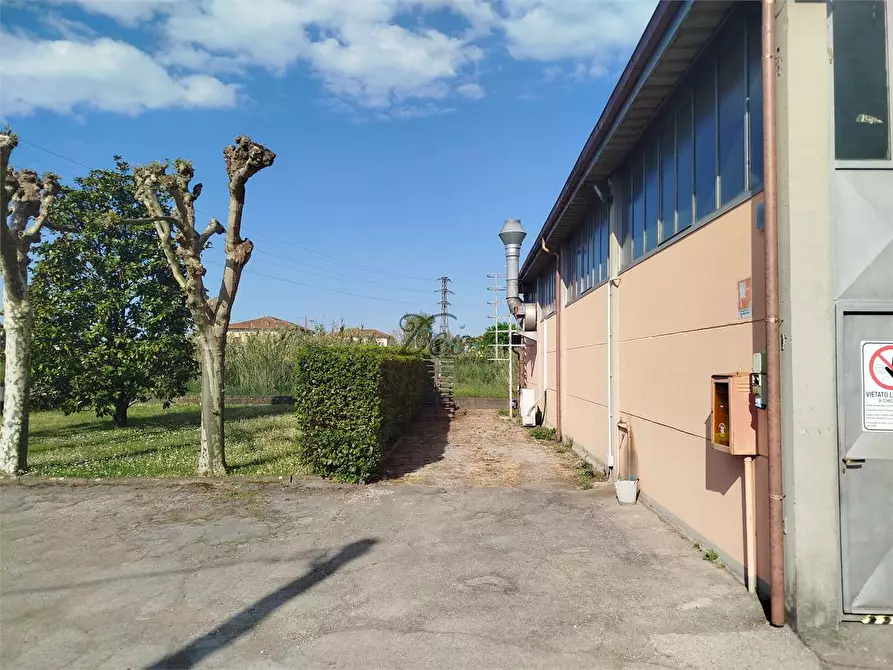 Immagine 4 di Capannone industriale in vendita  in via di piaggiori a Capannori