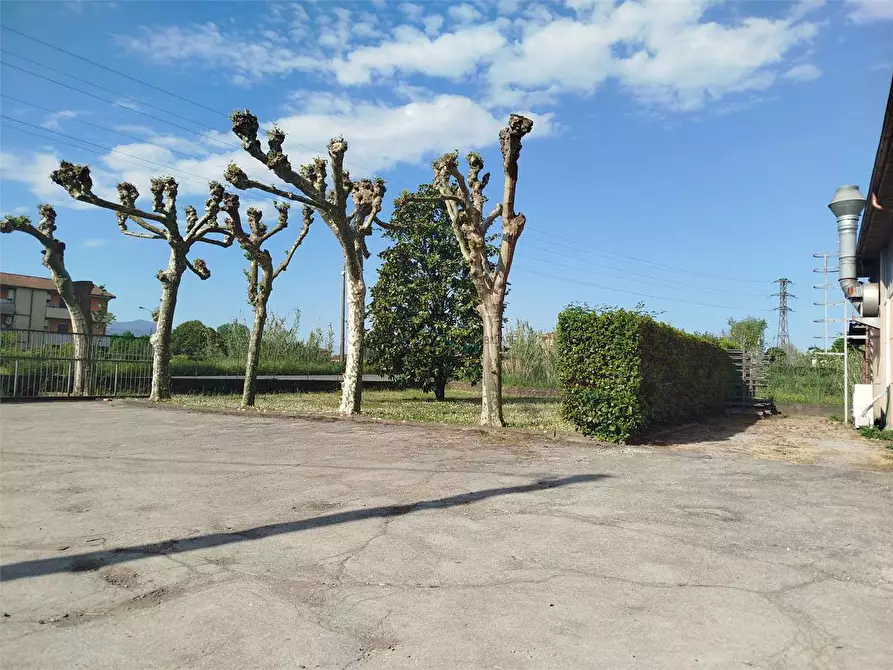 Immagine 2 di Capannone industriale in vendita  in via di piaggiori a Capannori