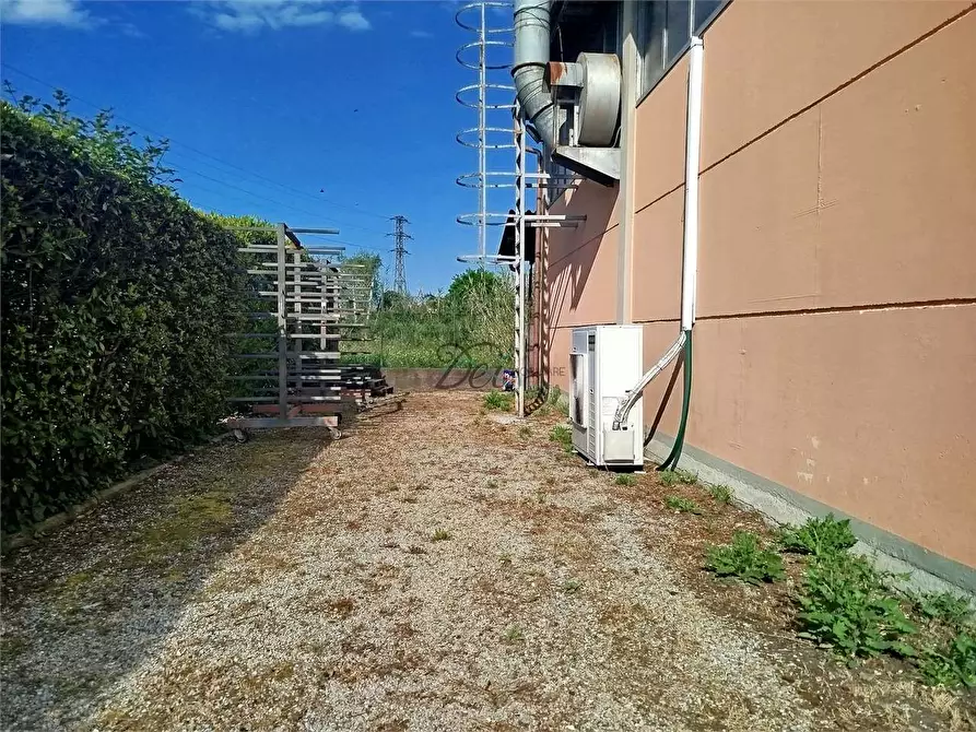 Immagine 5 di Capannone industriale in vendita  in via di piaggiori a Capannori