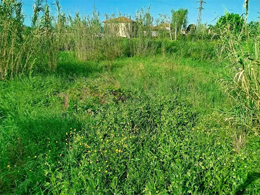 Immagine 7 di Capannone industriale in vendita  in via di piaggiori a Capannori