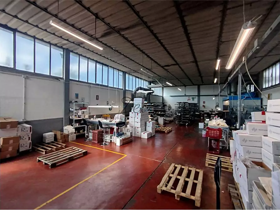 Immagine 11 di Capannone industriale in vendita  in via di piaggiori a Capannori