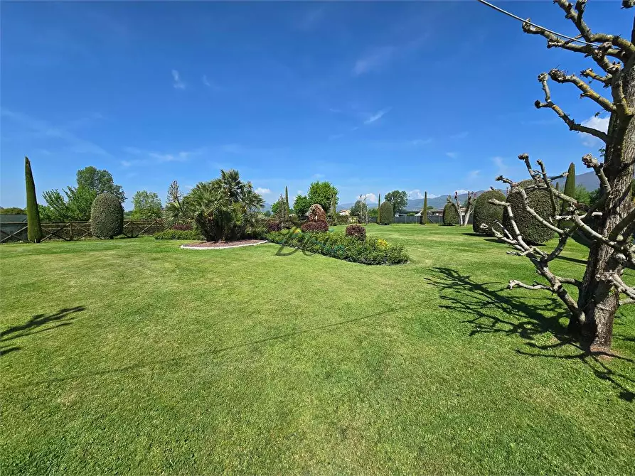 Immagine 46 di Villa in vendita  in via dell ave maria  a Capannori