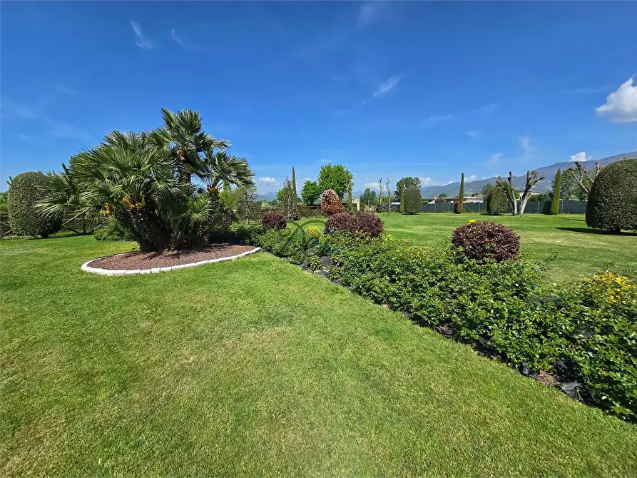 Immagine 47 di Villa in vendita  in via dell ave maria  a Capannori