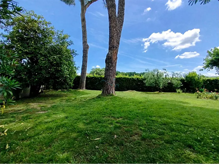 Immagine 46 di Villa in vendita  in via dei maionchi a Capannori