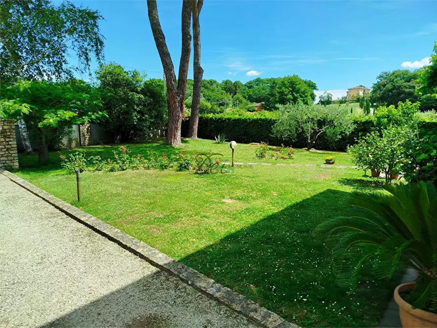 Immagine 43 di Villa in vendita  in via dei maionchi a Capannori
