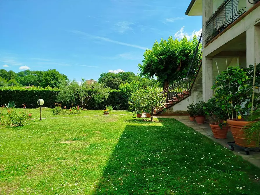 Immagine 3 di Villa in vendita  in via dei maionchi a Capannori
