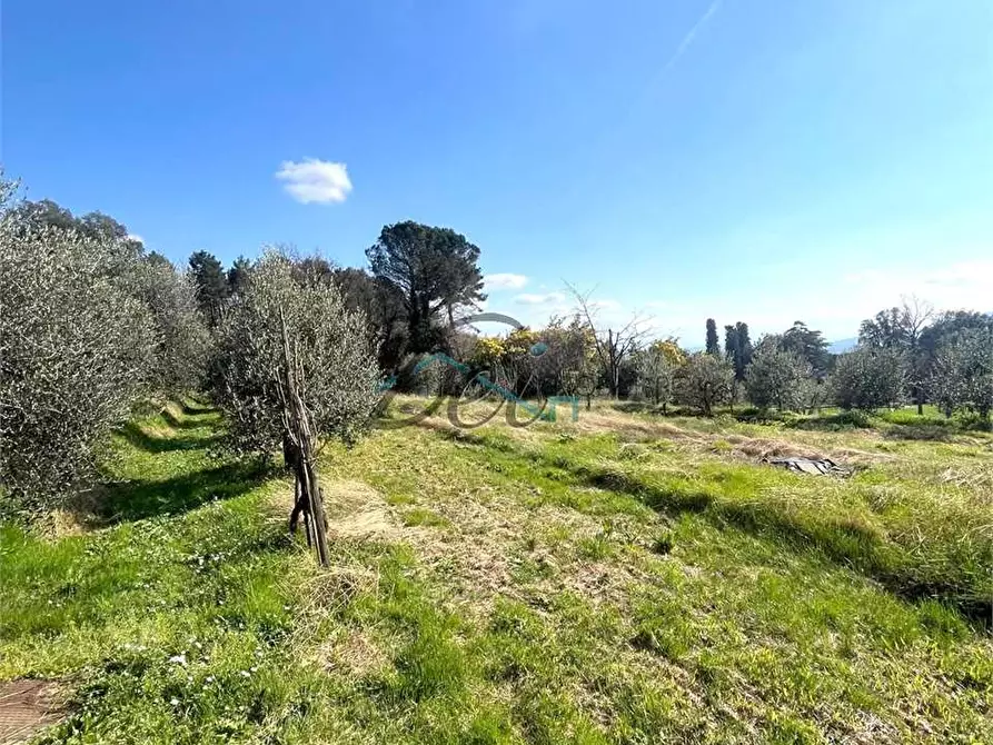 Immagine 25 di Casa bifamiliare in vendita  in Via Per San Martino  a Capannori