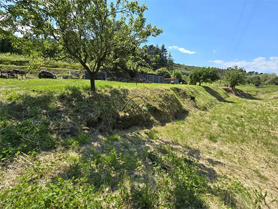Immagine 9 di Rustico / casale in vendita  in via della francese  a Capannori