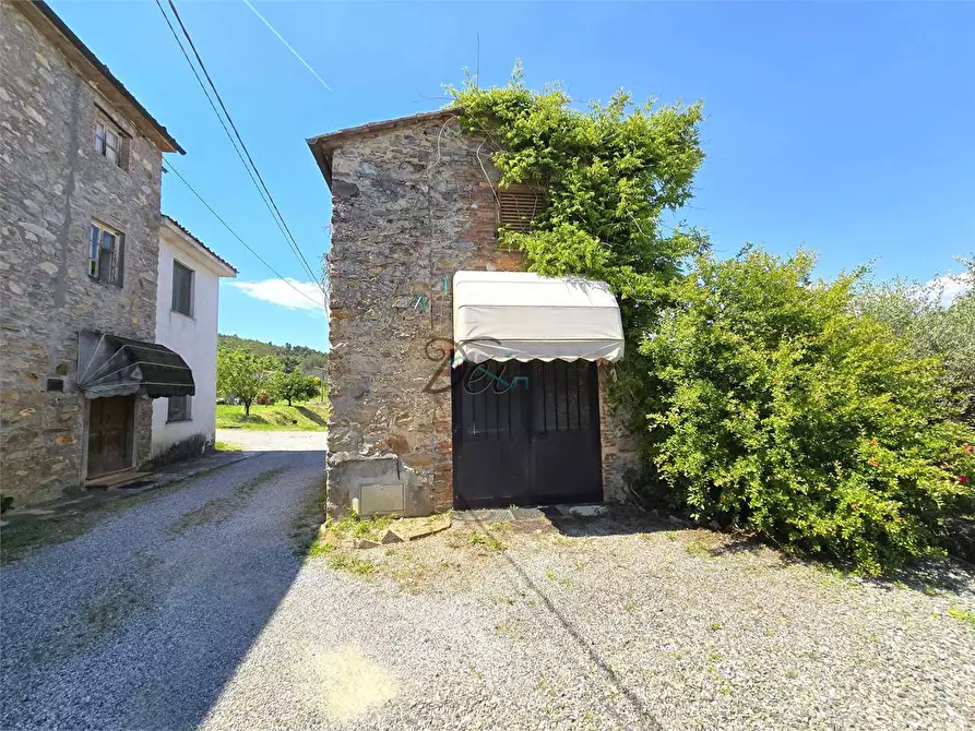 Immagine 2 di Rustico / casale in vendita  in via della francese  a Capannori