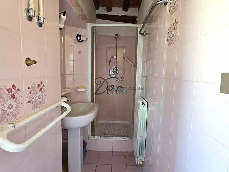 Immagine 36 di Rustico / casale in vendita  in via della francese  a Capannori