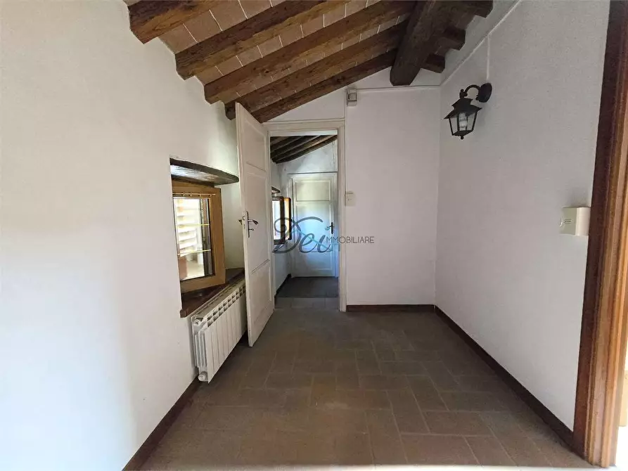 Immagine 28 di Rustico / casale in vendita  in via della francese  a Capannori