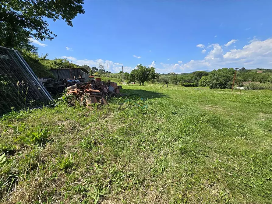 Immagine 5 di Rustico / casale in vendita  in via della francese  a Capannori