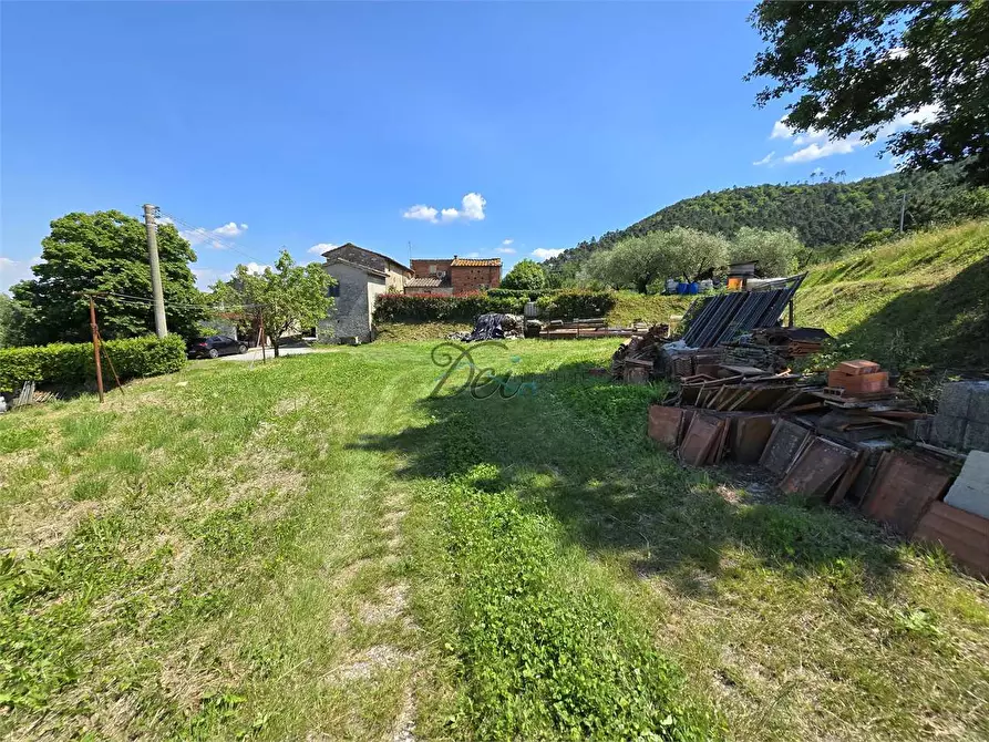 Immagine 43 di Rustico / casale in vendita  in via della francese  a Capannori