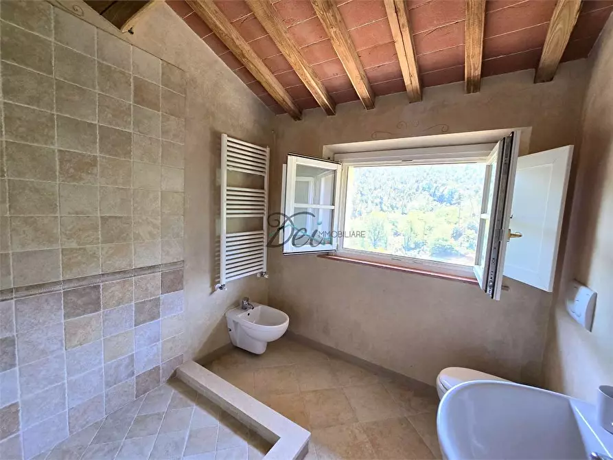 Immagine 44 di Rustico / casale in vendita  in Via di Tiglio  a Capannori