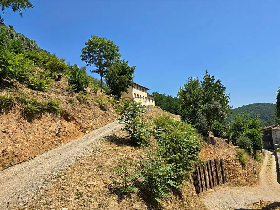 Immagine 45 di Rustico / casale in vendita  in Via di Tiglio  a Capannori