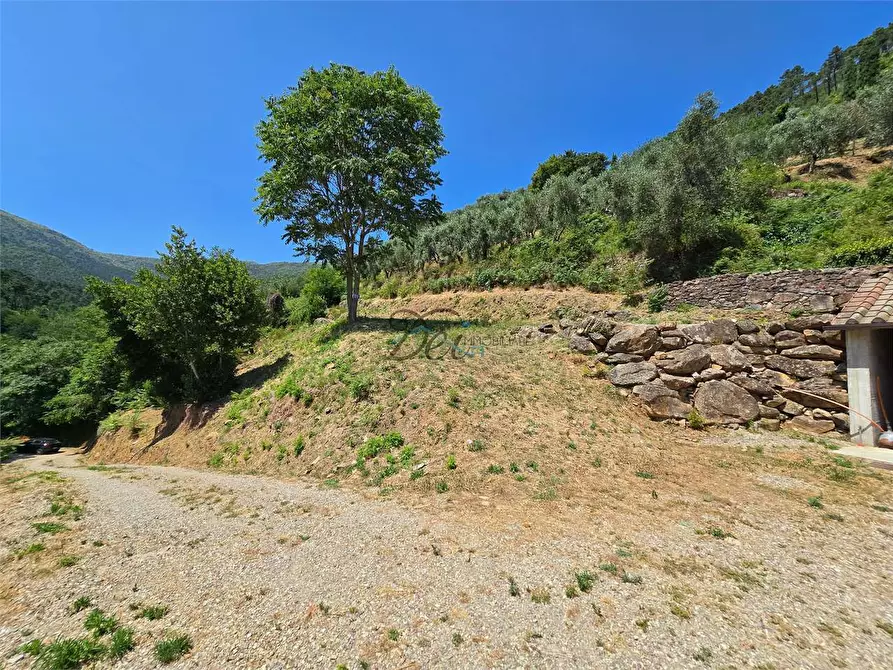 Immagine 5 di Rustico / casale in vendita  in Via di Tiglio  a Capannori