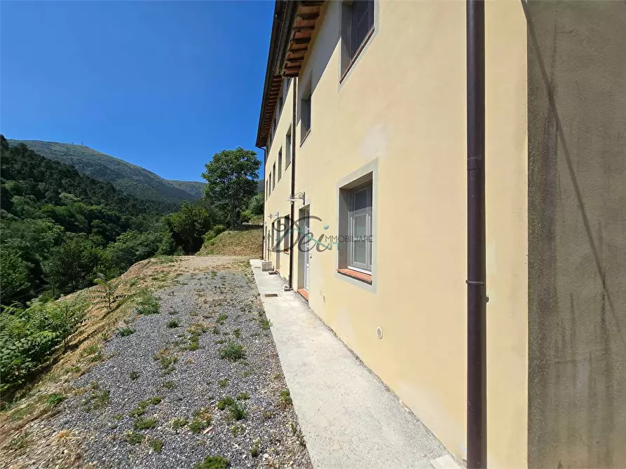 Immagine 4 di Rustico / casale in vendita  in Via di Tiglio  a Capannori