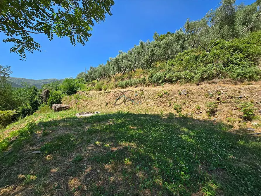 Immagine 49 di Rustico / casale in vendita  in Via di Tiglio  a Capannori