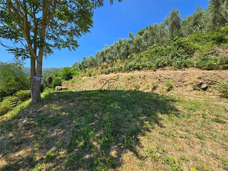 Immagine 47 di Rustico / casale in vendita  in Via di Tiglio  a Capannori