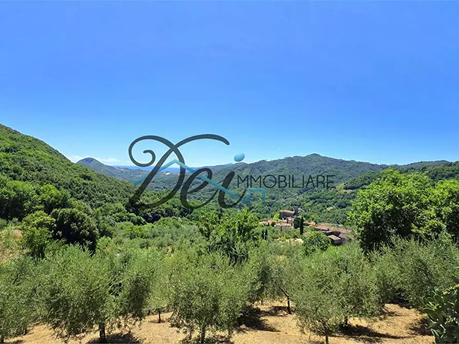 Immagine 3 di Rustico / casale in vendita  in Via Teatro Vecchio 11 a Borgo A Mozzano