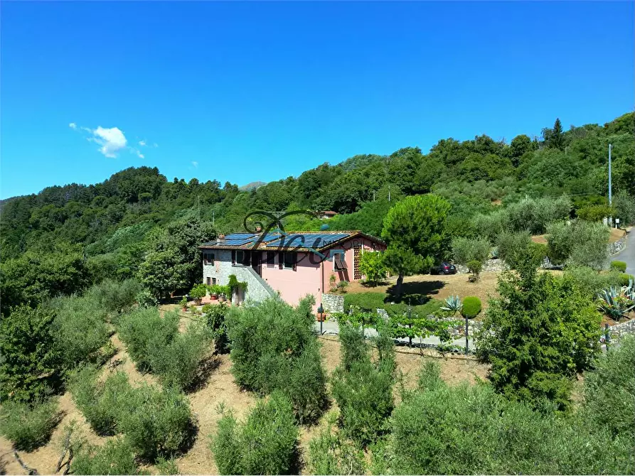 Immagine 2 di Rustico / casale in vendita  in Via Teatro Vecchio 11 a Borgo A Mozzano