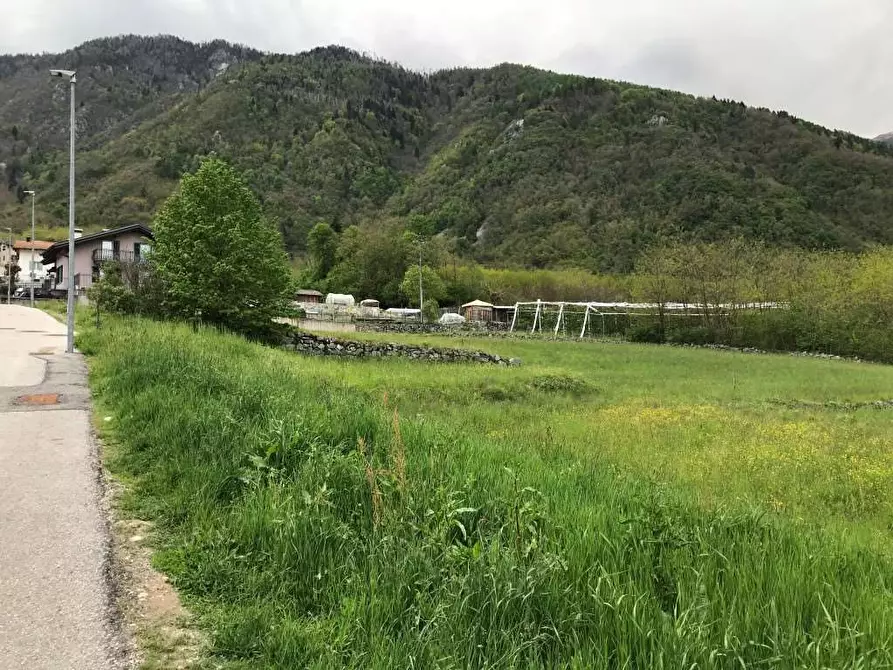 Immagine 3 di Terreno edificabile in vendita  in Via della Sega a Roncegno