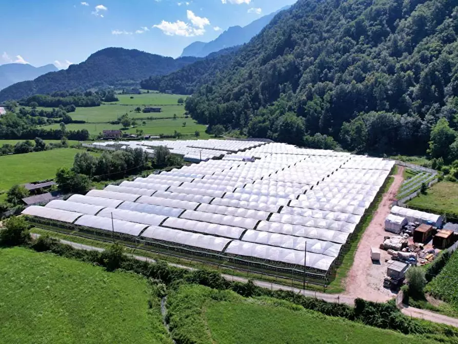 Immagine 11 di Terreno agricolo in vendita  in LOCALITA' VISLE a Borgo Valsugana