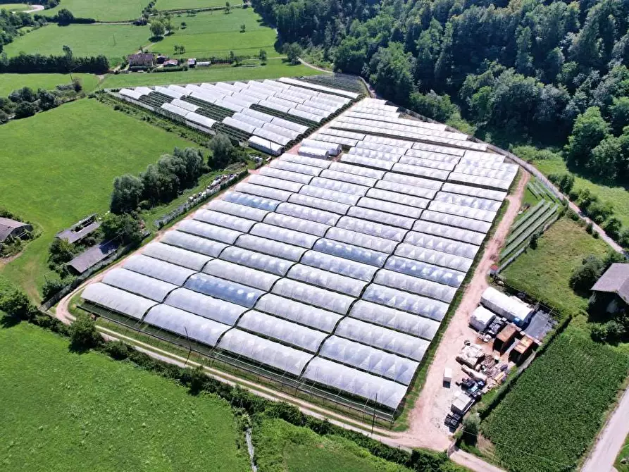 Immagine 12 di Terreno agricolo in vendita  in LOCALITA' VISLE a Borgo Valsugana