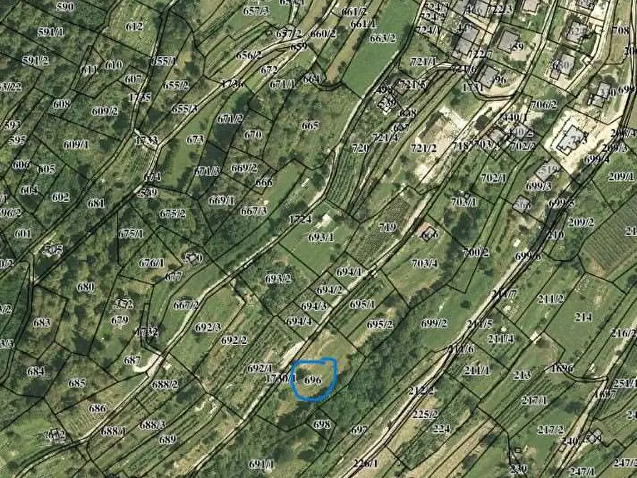 Immagine 1 di Terreno agricolo in vendita  in LOCALITA' MASI FRATTE a Telve Di Sopra