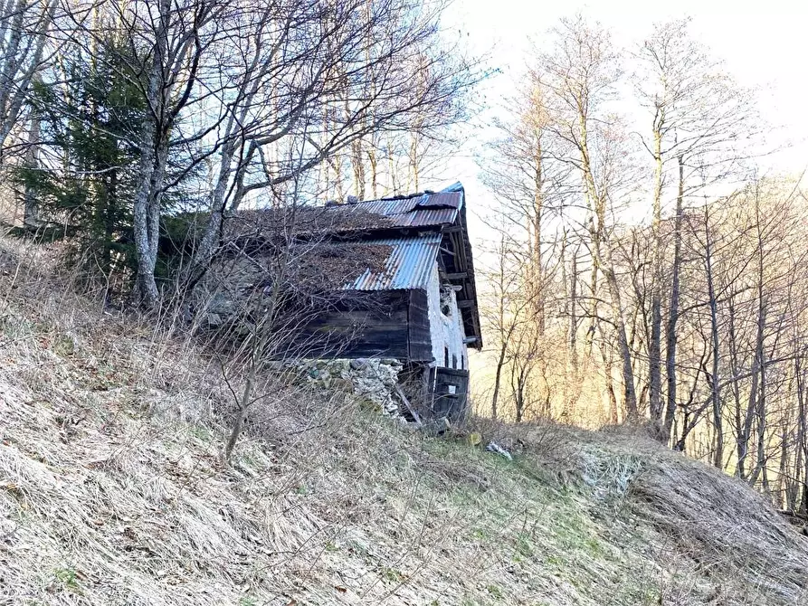 Immagine 14 di Baita in vendita  a Torcegno
