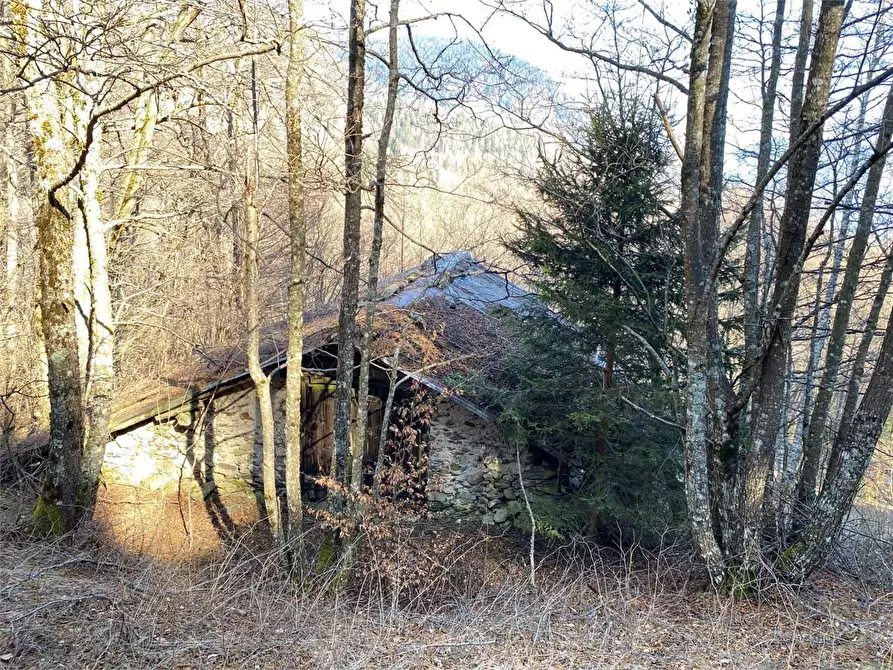 Immagine 15 di Baita in vendita  a Torcegno