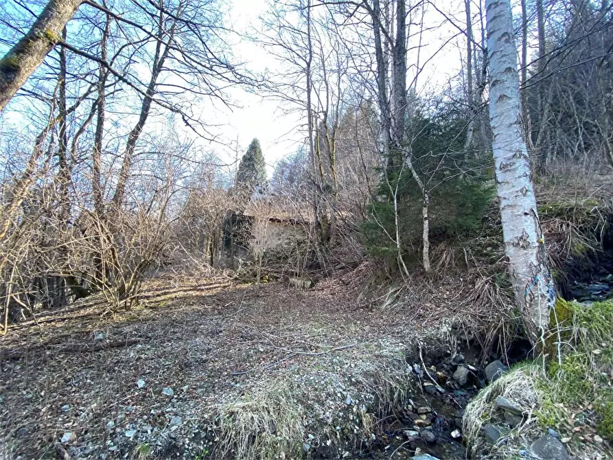 Immagine 17 di Baita in vendita  a Torcegno