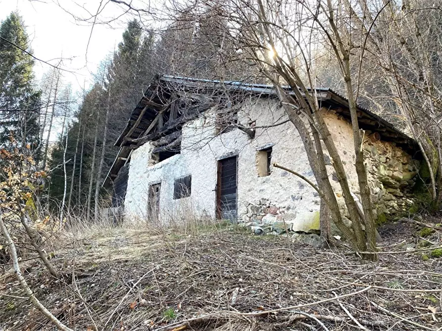 Immagine 19 di Baita in vendita  a Torcegno