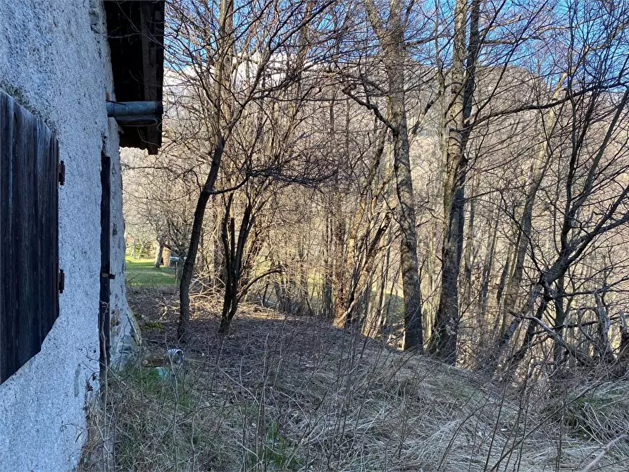 Immagine 24 di Baita in vendita  a Torcegno