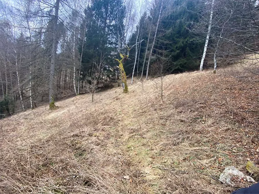 Immagine 25 di Baita in vendita  a Torcegno