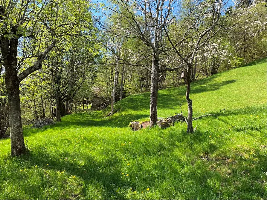 Immagine 4 di Baita in vendita  a Torcegno