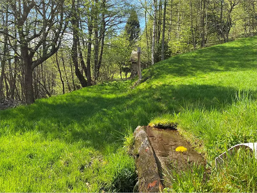 Immagine 8 di Baita in vendita  a Torcegno