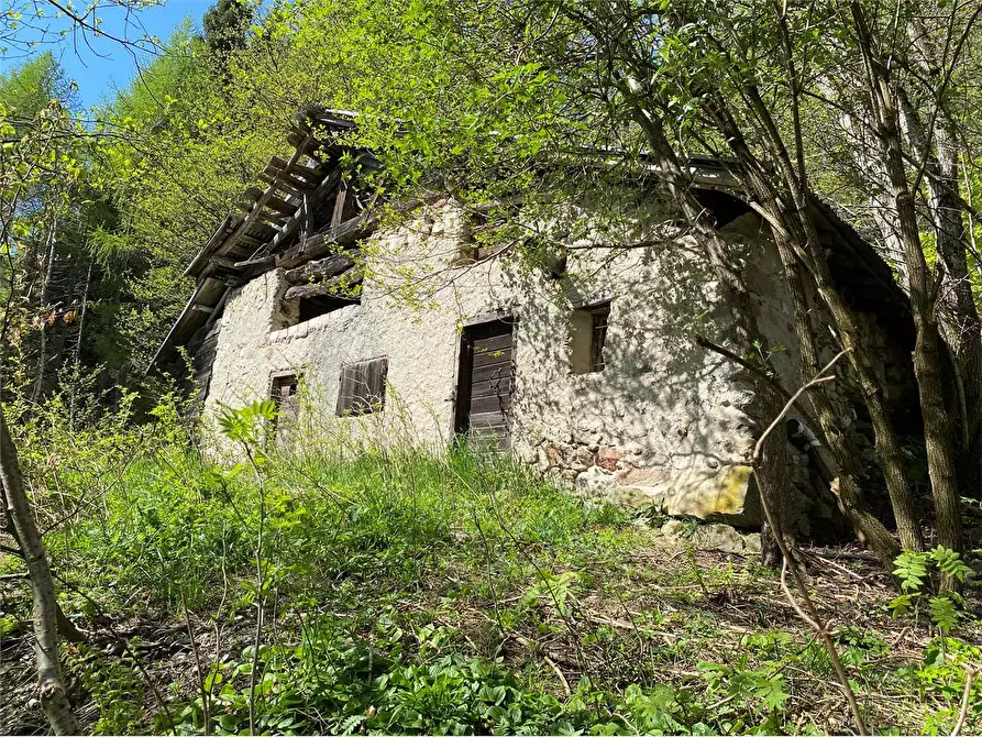 Immagine 1 di Baita in vendita  a Torcegno