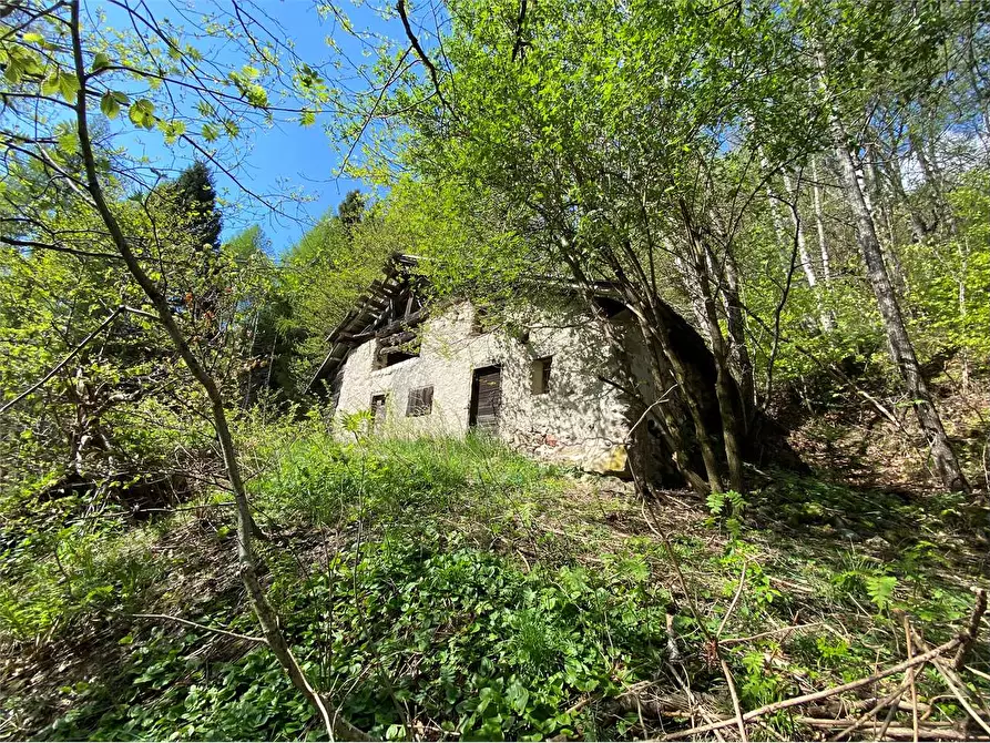 Immagine 6 di Baita in vendita  a Torcegno