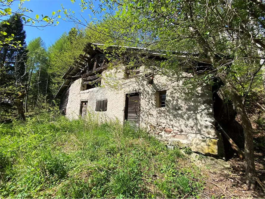 Immagine 3 di Baita in vendita  a Torcegno